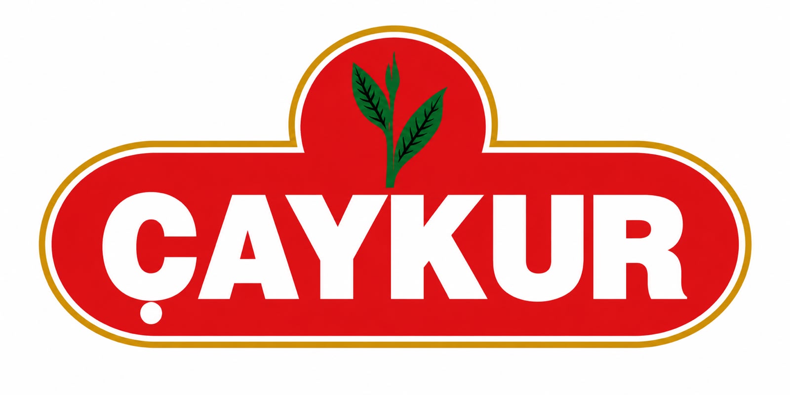 Çaykur